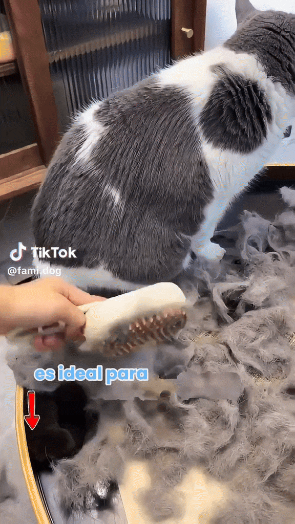 🐾✨ Cepillo Masajeador De Vapor Para Gatos y Perros