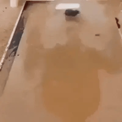 🚗💧 Lavadora Portátil Sin Cables🏠