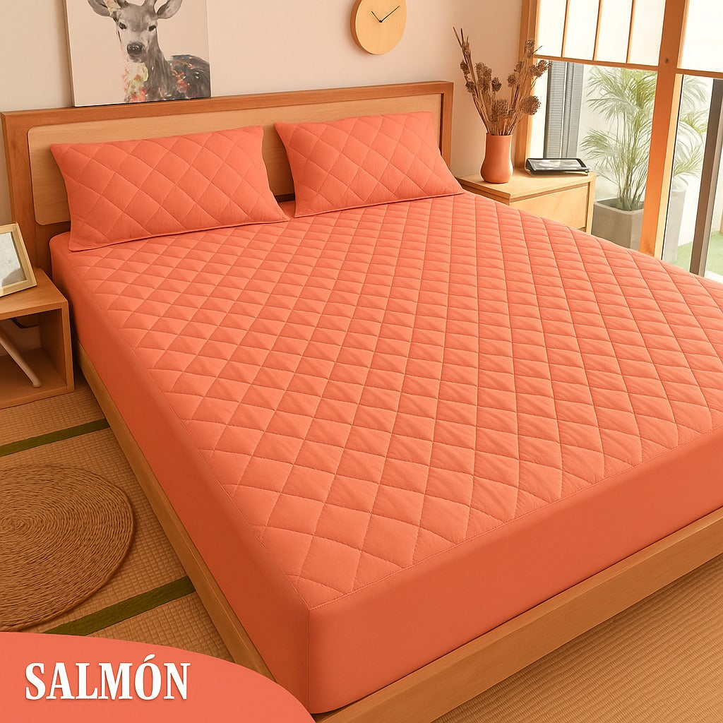 🛏️ Protege tu colchón y duerme tranquilo